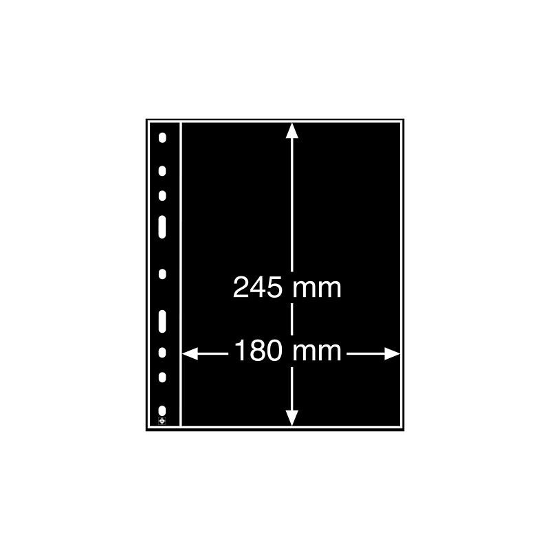 eurocoin eurocoins Leuchtturm OPTIMA sheets 180 x 245 mm (10 pcs)