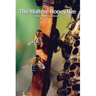 2 Euro Malta 2024 - Maltese Honey Bee (BU)