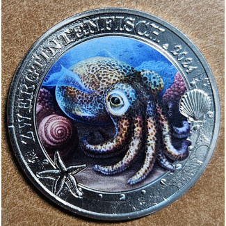 3 Euro Austria 2024 - Hawaiian Bobtail Squid (UNC)