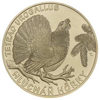 5 Euro Slovakia 2024 - The western capercaillie (UNC)