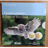 5 Euro Luxembourg 2024 - Athene noctua (Proof)